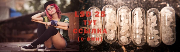 гашик Вяземский