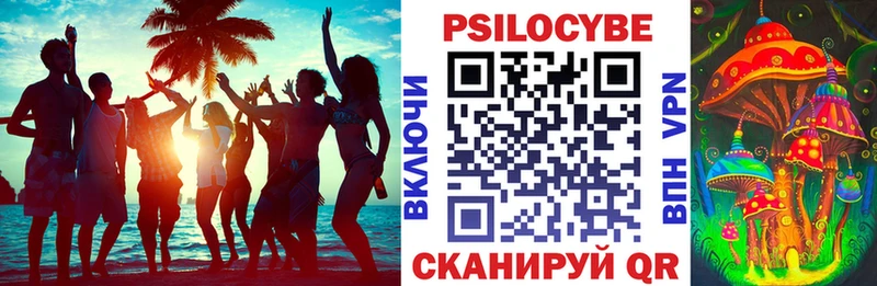 Псилоцибиновые грибы ЛСД  купить закладку  Суворов 